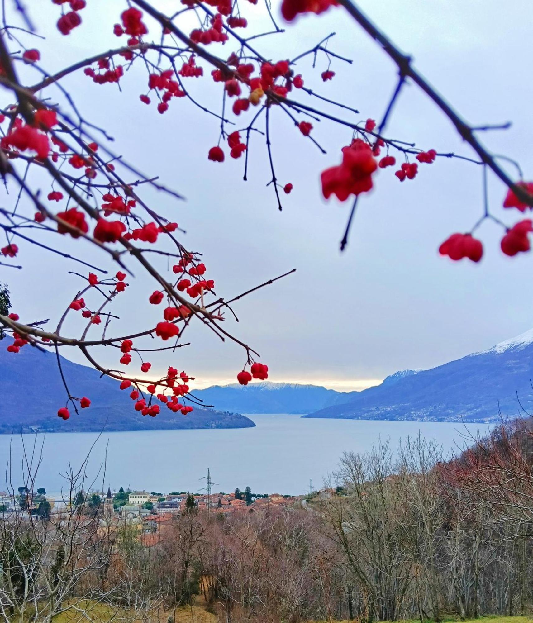 Lake Como Borgo Vignola 크레미아 외부 사진